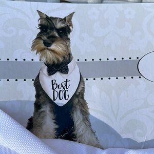 NWT- Best Dog Bandana - Wedding Outfit- White and Black Size M